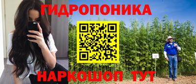 гидра Будённовск