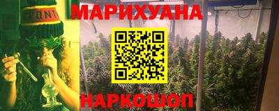 гидра Будённовск