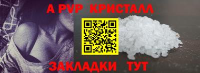 гидра Будённовск