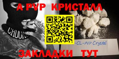 гидра Будённовск
